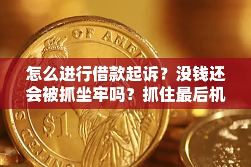 济南怎么进行借款起诉？没钱还会被抓坐牢吗？抓住最后机会！