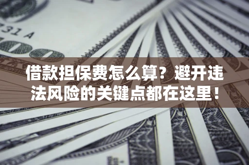 济南借款担保费怎么算？避开违法风险的关键点都在这里！