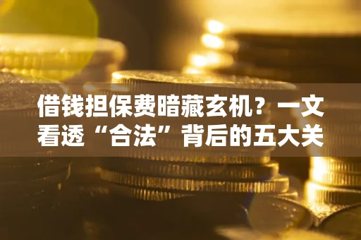 济南借钱担保费暗藏玄机？一文看透“合法”背后的五大关键陷阱