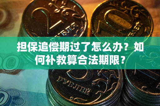 济南担保追偿期过了怎么办？如何补救算合法期限？