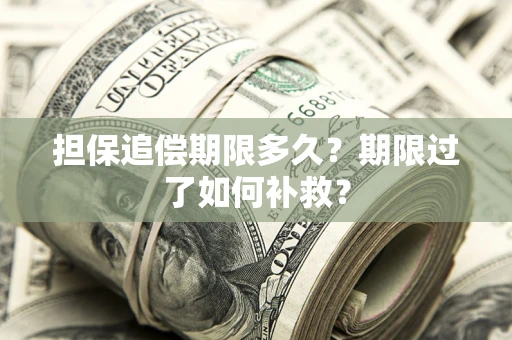 济南担保追偿期限多久？期限过了如何补救？